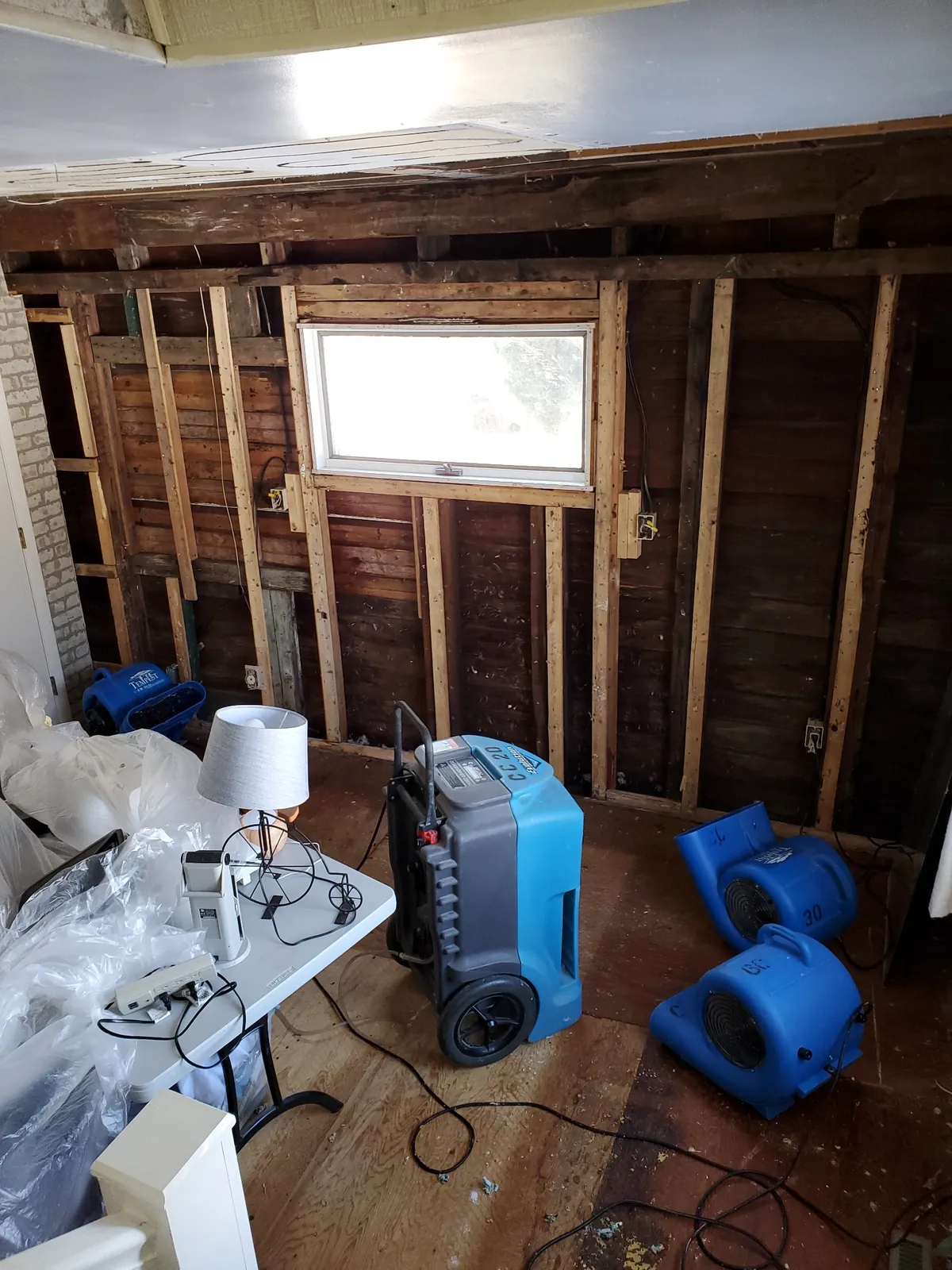 Air movers and drying equipment after water damage.
