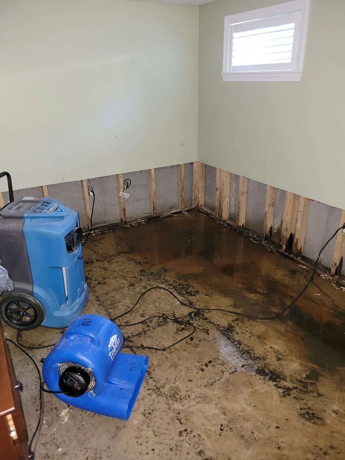 Basement water damage drying equipment