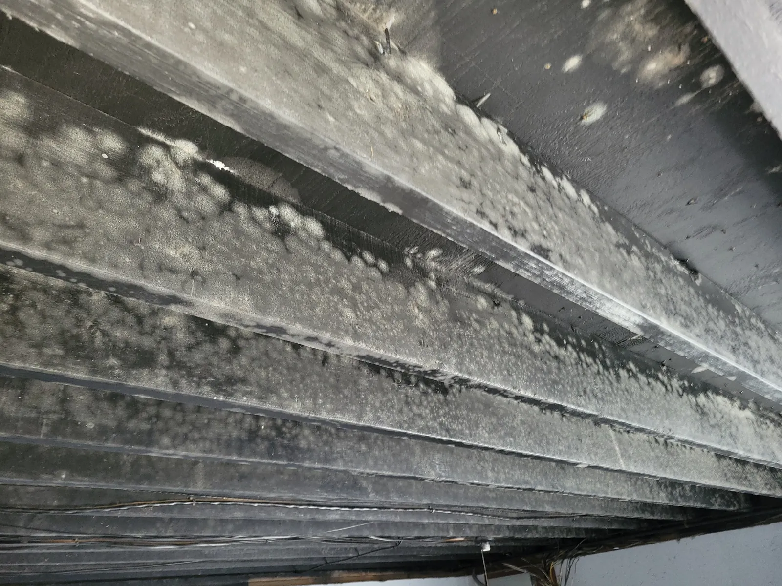 Close-up inspection of a ceiling during restoration work.