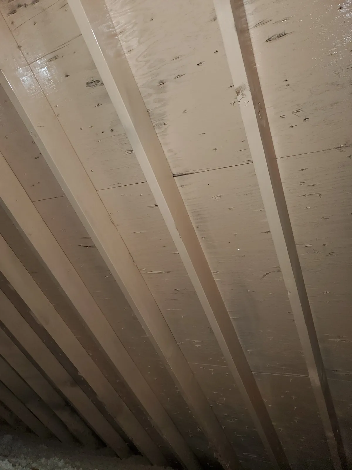 Ceiling framing during interior restoration work.