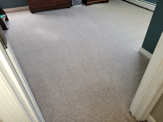 Freshly cleaned carpet with visible cleaning lines