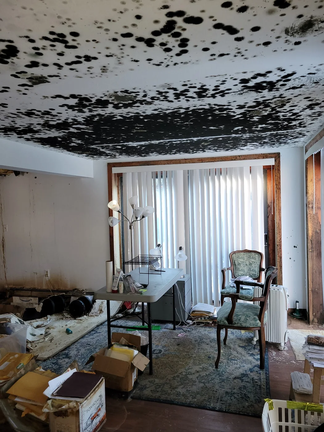 Visible mold growth across a room ceiling before remediation